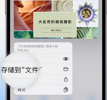 平安apple维修中心分享iPhone文件应用中存储和找到下载文件