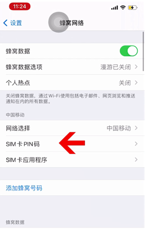 平安苹果14维修网分享如何给iPhone14的SIM卡设置密码 