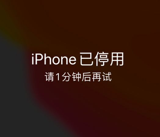 平安苹果手机维修分享:iPhone 显示“不可用”或“已停用”怎么办？还能保留数据吗？ 