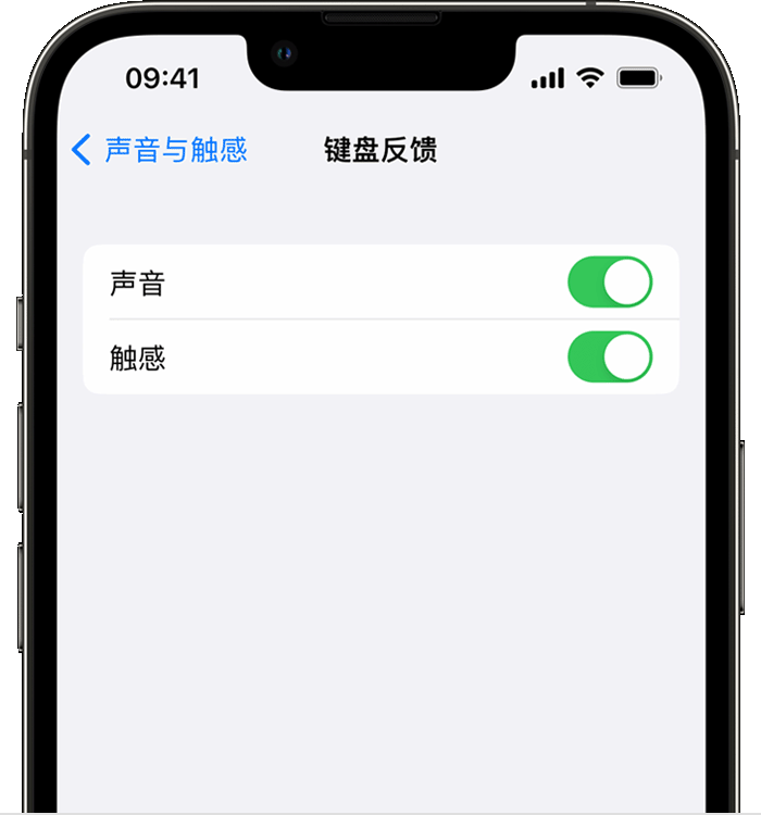 平安苹果14维修店分享如何在 iPhone 14 机型中使用触感键盘 