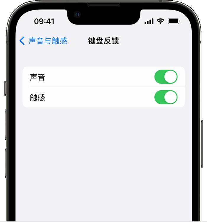 平安苹果14维修分享iPhone 14 系列机型如何开启键盘声音或触感反馈 