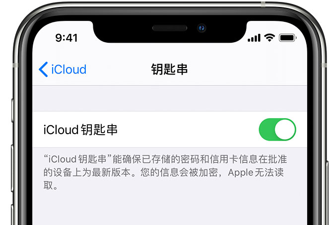 平安苹果手机维修分享在 iPhone 上开启 iCloud 钥匙串之后会储存哪些信息 