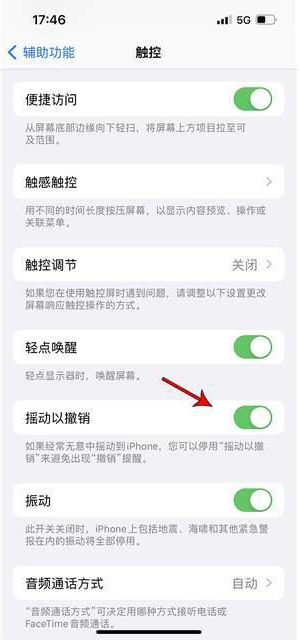 平安苹果手机维修分享iPhone手机如何设置摇一摇删除文字 