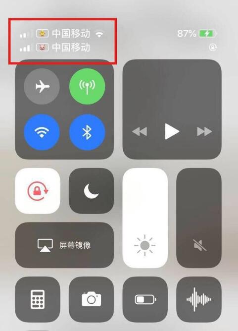 平安苹果手机维修分享为 iPhone 12 双卡设置标签 