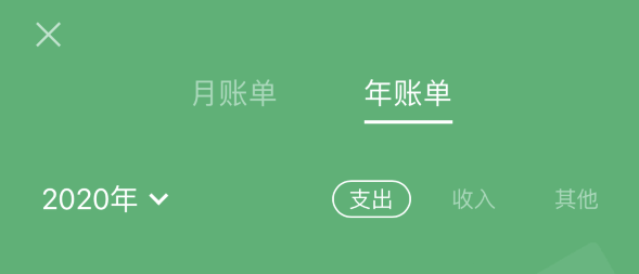平安苹果手机维修分享如何在 iPhone 上查看支付宝和微信年支出账单 
